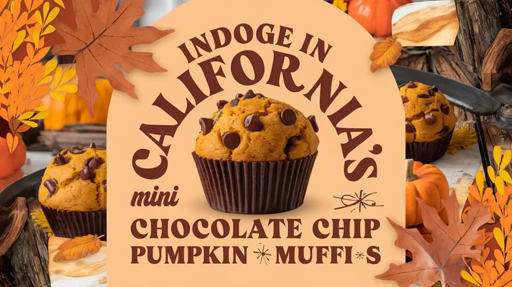 mini pumpkin chocolate muffins